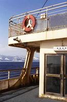 kaiko244_1.jpg