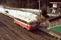 kaiko263_1.jpg