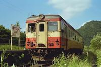 kaiko270.jpg