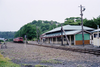 kaiko271.JPG