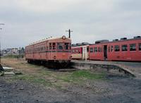 kaiko293_3.JPG